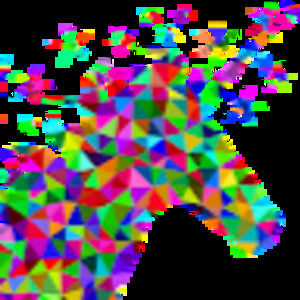 Meet your Posher, Madi